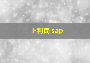 卜利民 sap